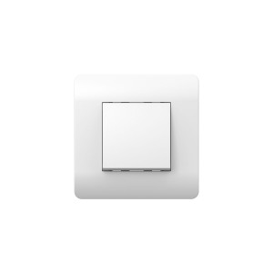 ALTAIR Переключатель перекрестный 1-клавишный, 10А, NEW3-E, белый, механизм